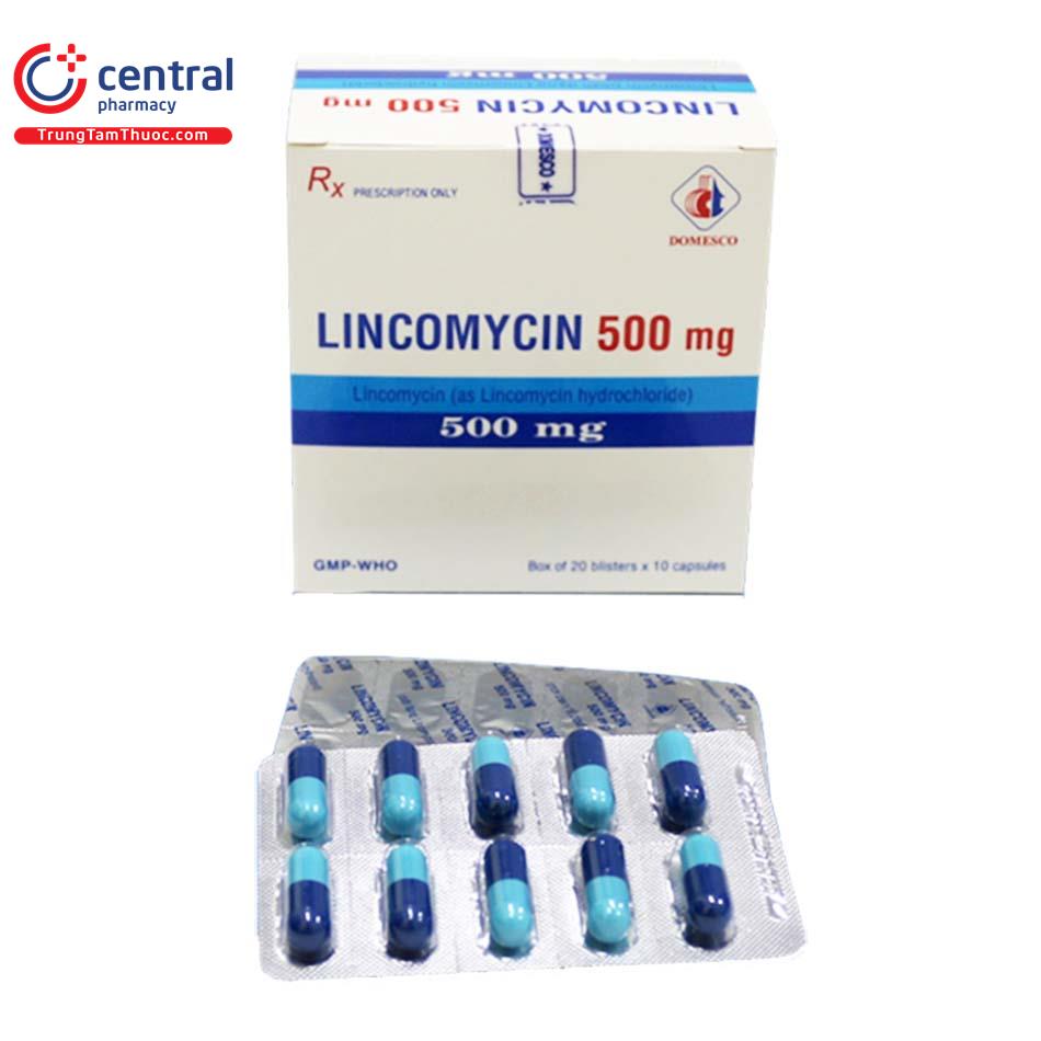 lincomycin5 Q6488