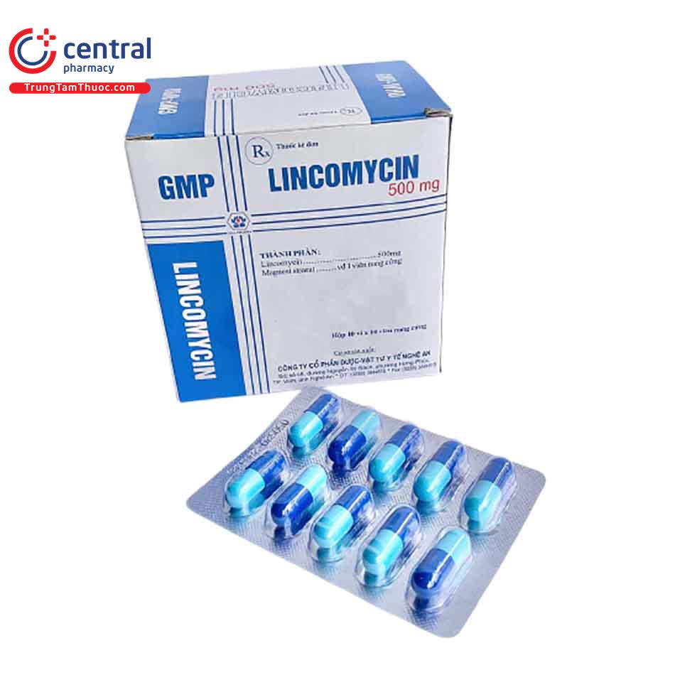 lincomycin500 nghean I3043