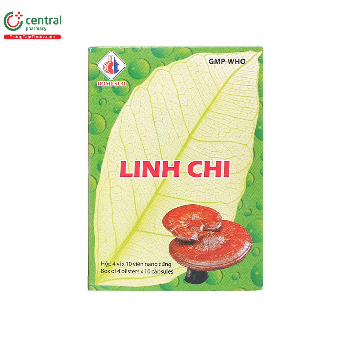 linh chi domesco 2 J3155