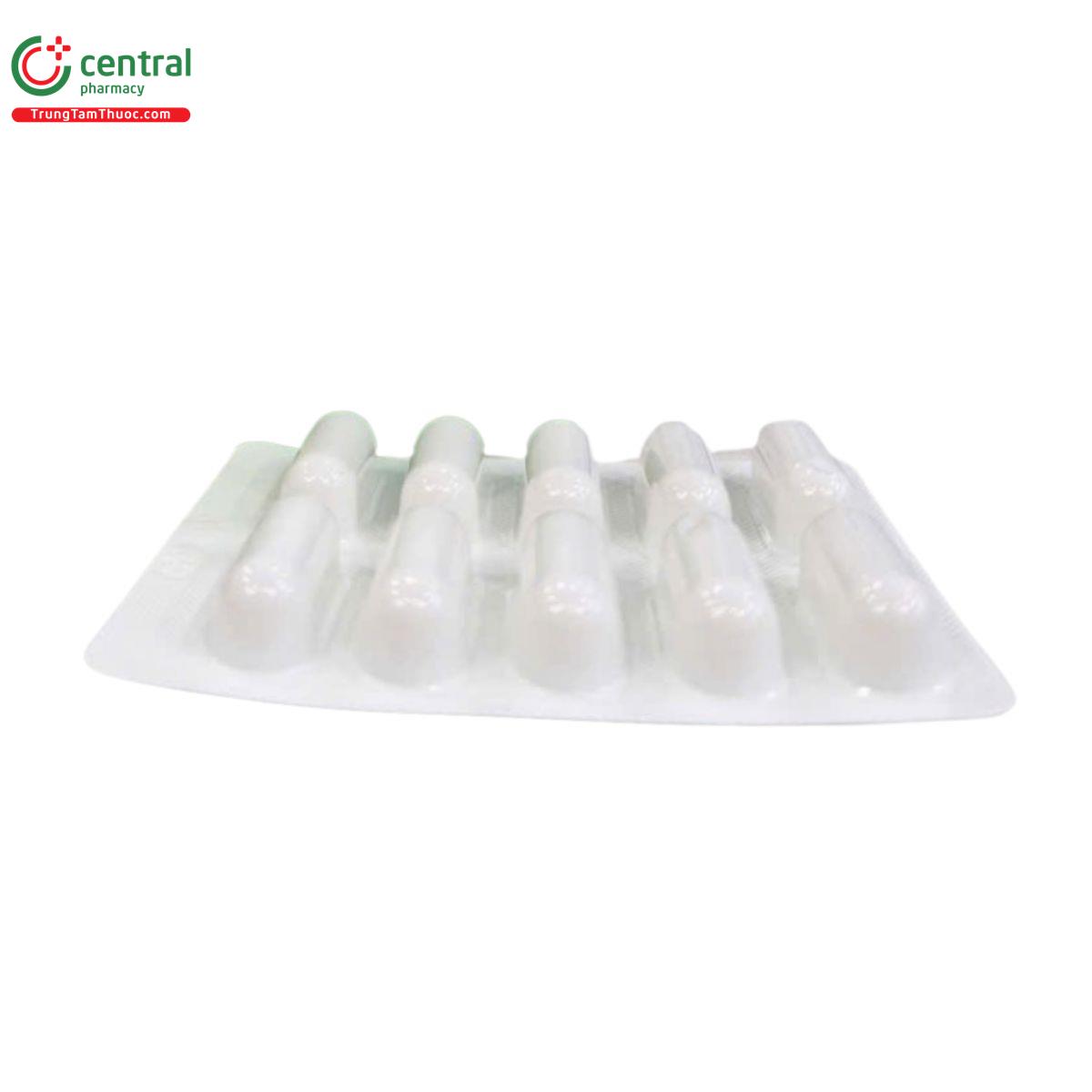 lithocal 8 P6135 lithocal 8 P6135