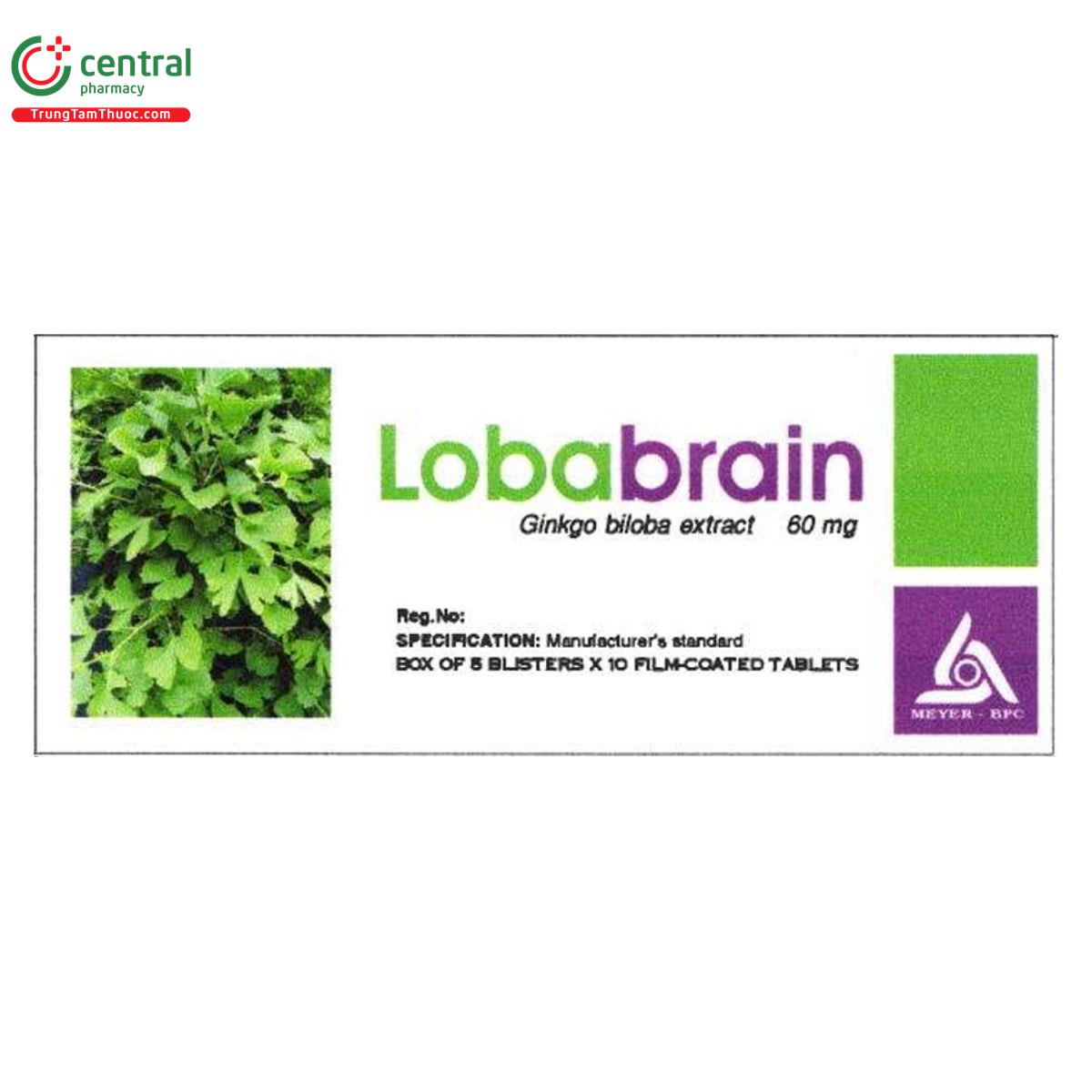lobabrain 60mg P6634 lobabrain 60mg P6634