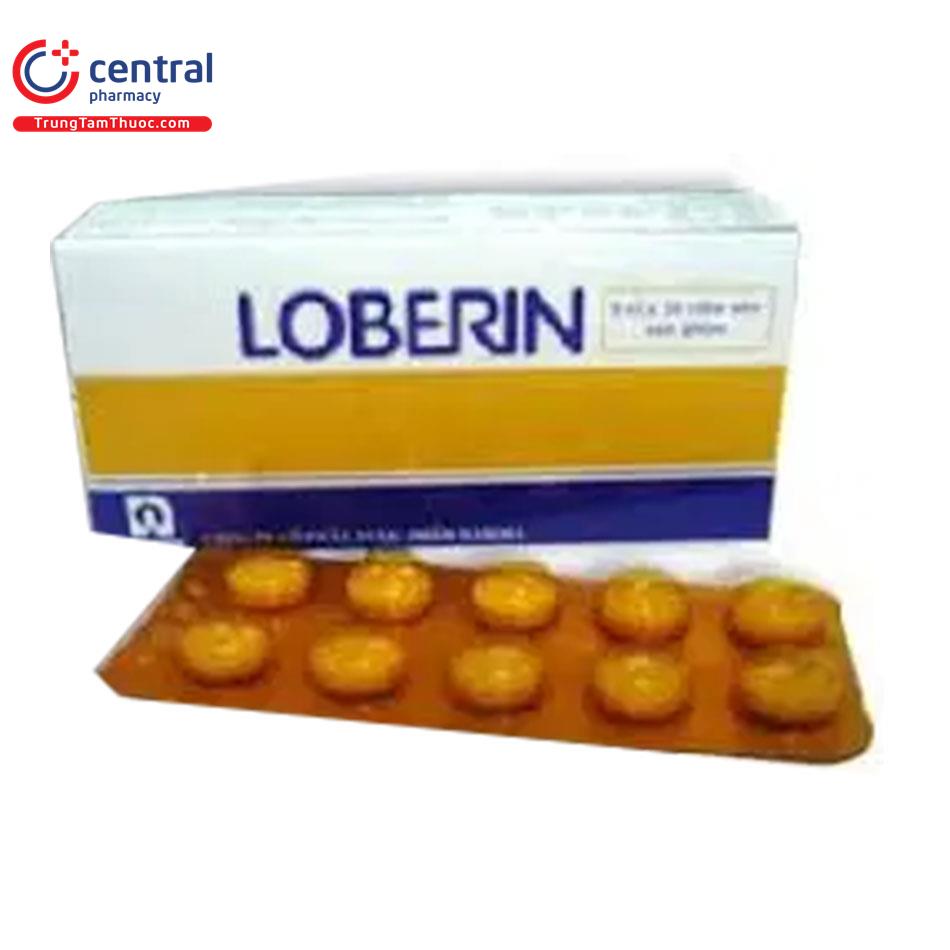loberin 2 E1543