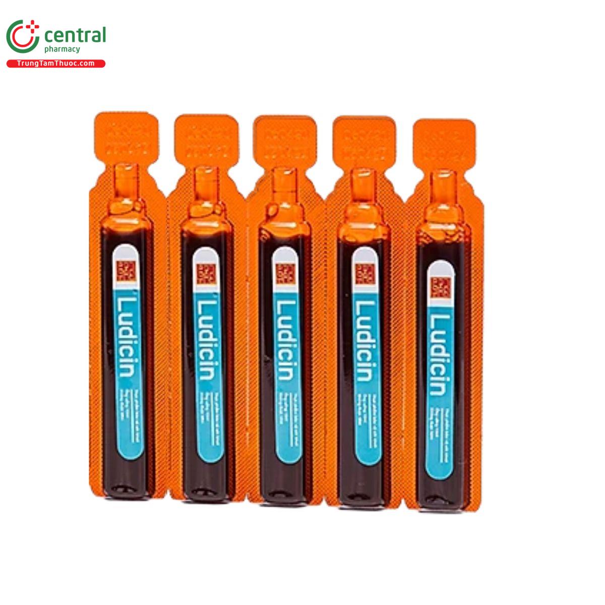 ludicin 5 M5385 ludicin 5 M5385