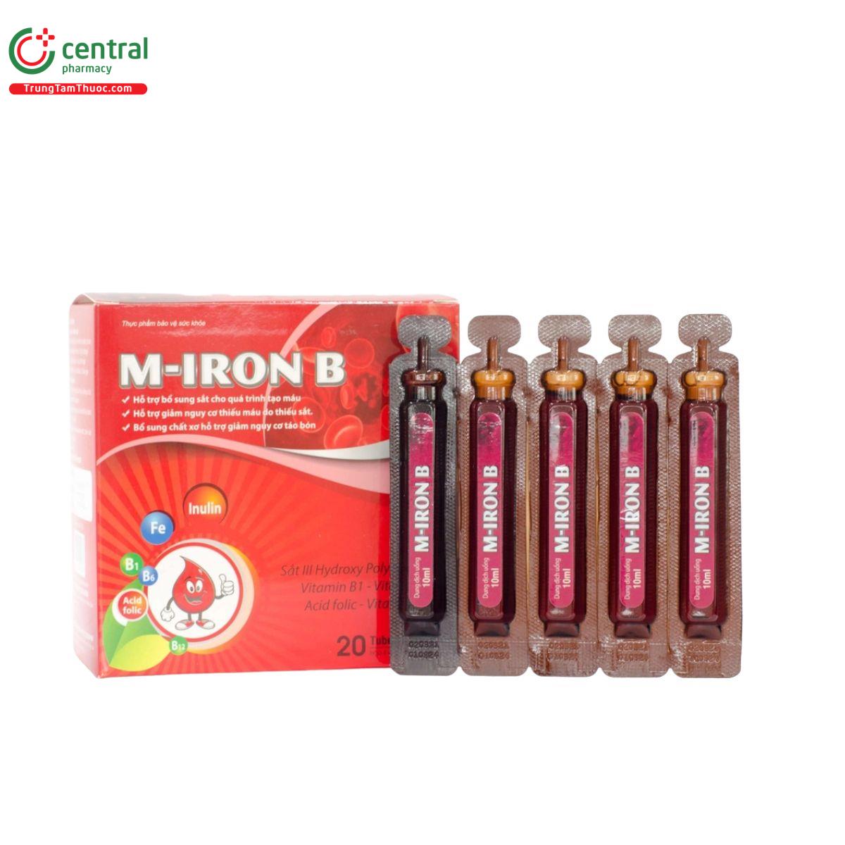 m iron b 1 G2303 m iron b 1 G2303