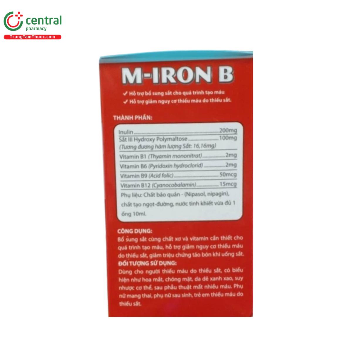 m iron b 3 T8005 m iron b 3 T8005