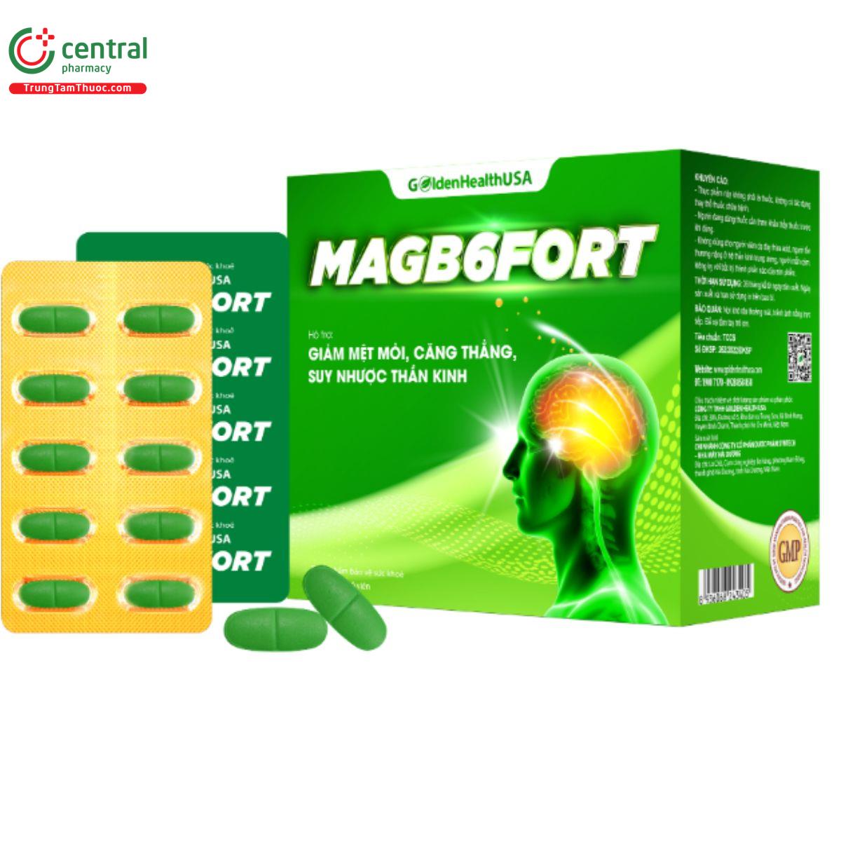 magb6fort 1 H2374