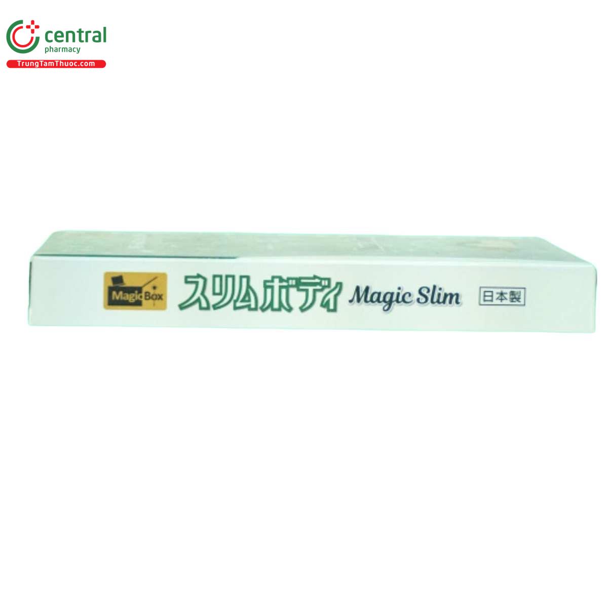 magic slim 12 V8808