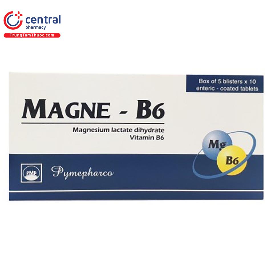 magne b6 pymepharco 1 E1157