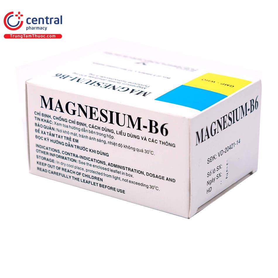 magnesium b6 bidiphar 5 M5114