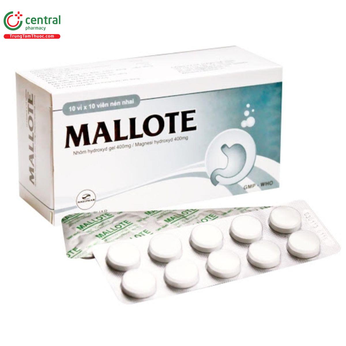 mallote G2864 mallote G2864