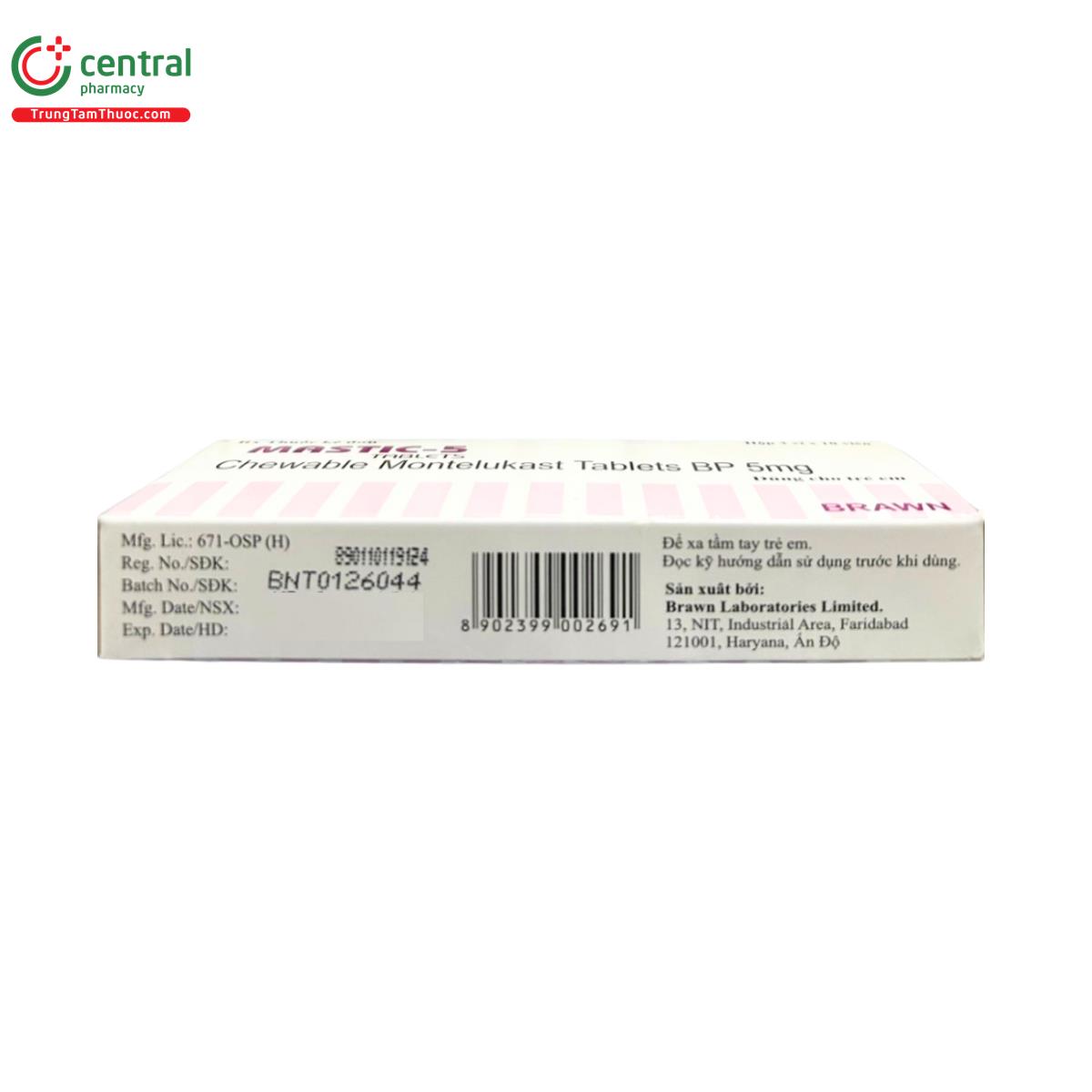 mastic 5 tablets 4 N5185