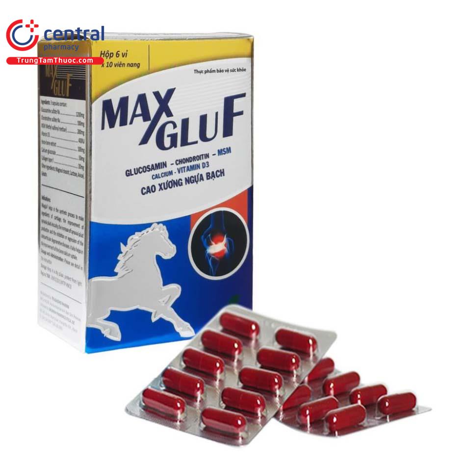 max glu f 1 K4555