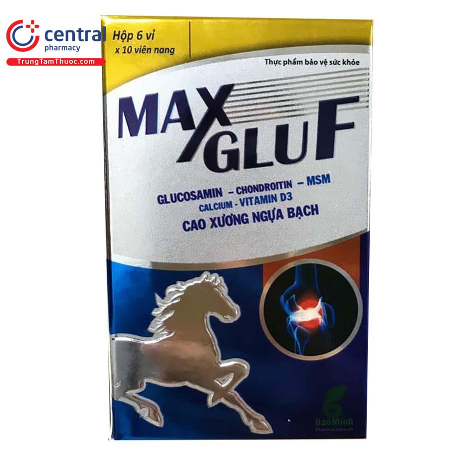 max glu f T8681