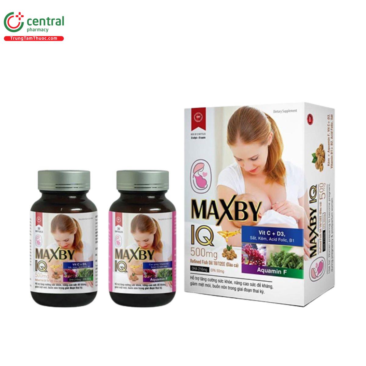 maxby iq 1 J3847 maxby iq 1 J3847