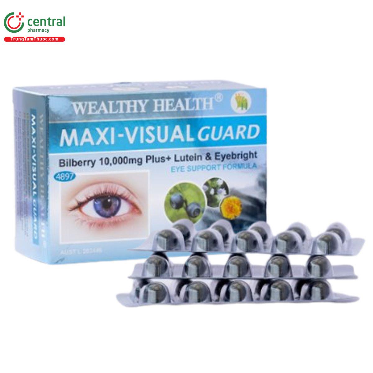 maxi visual guard 1 U8407 maxi visual guard 1 U8407