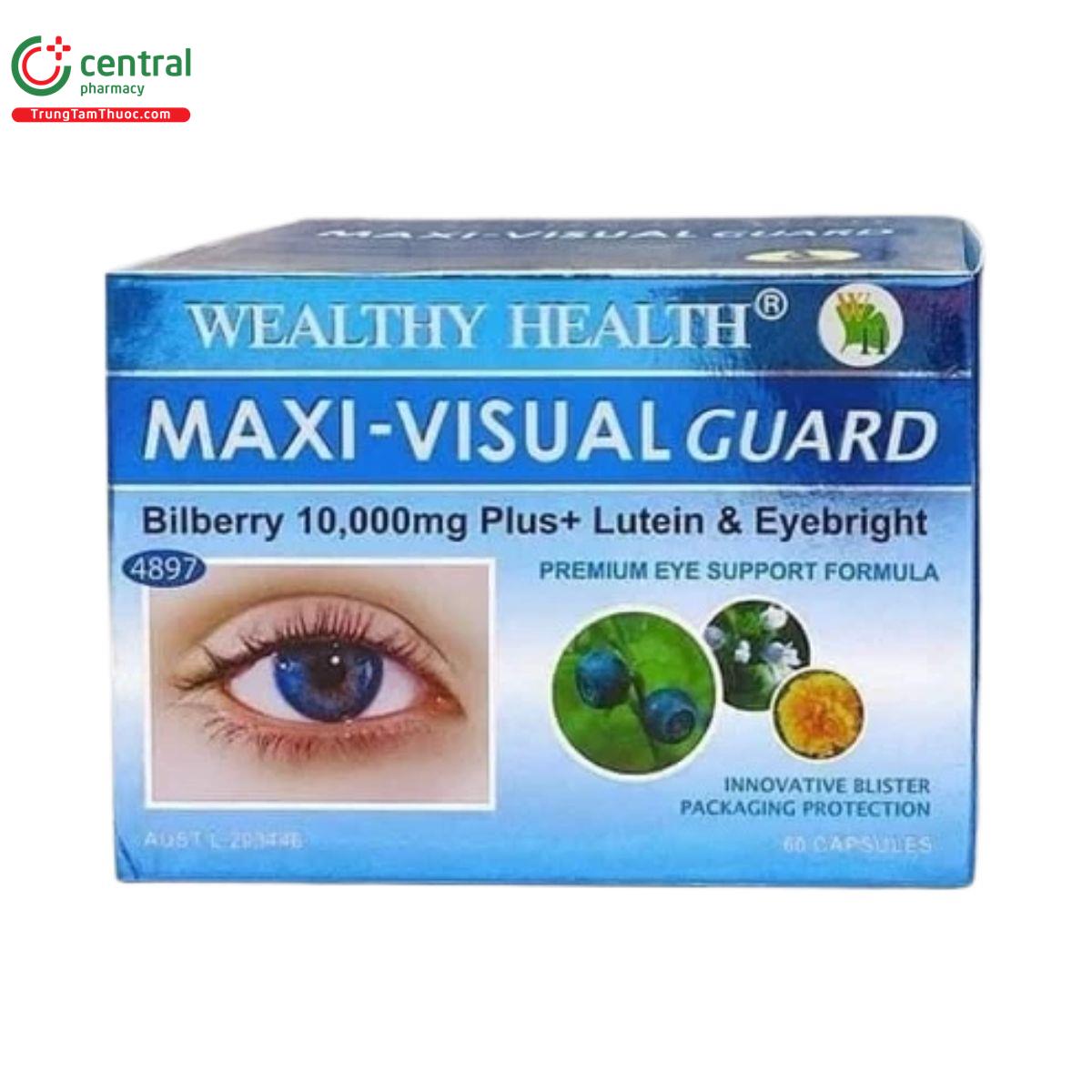 maxi visual guard 3 D1466 maxi visual guard 3 D1466