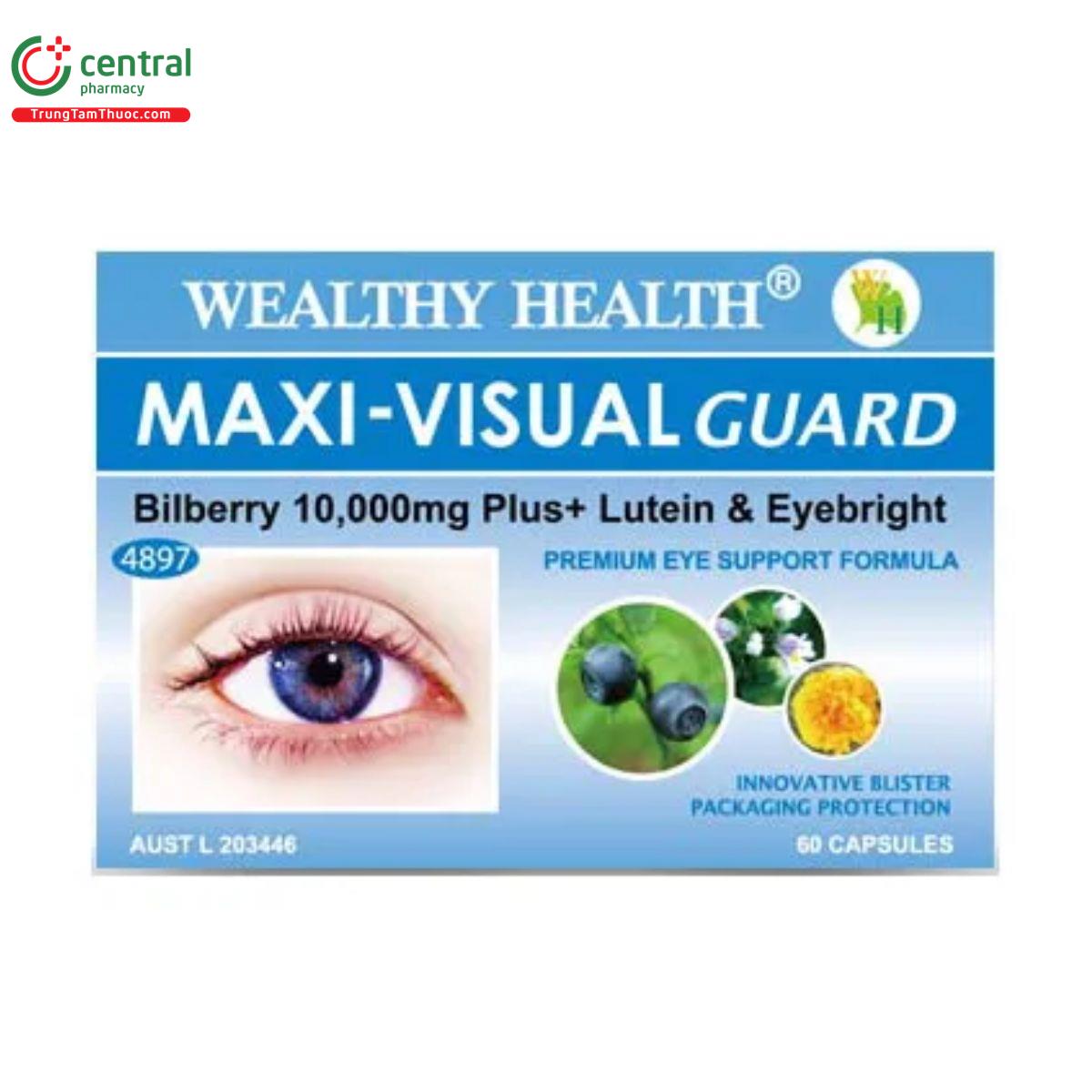 maxi visual guard 4 F2453 maxi visual guard 4 F2453
