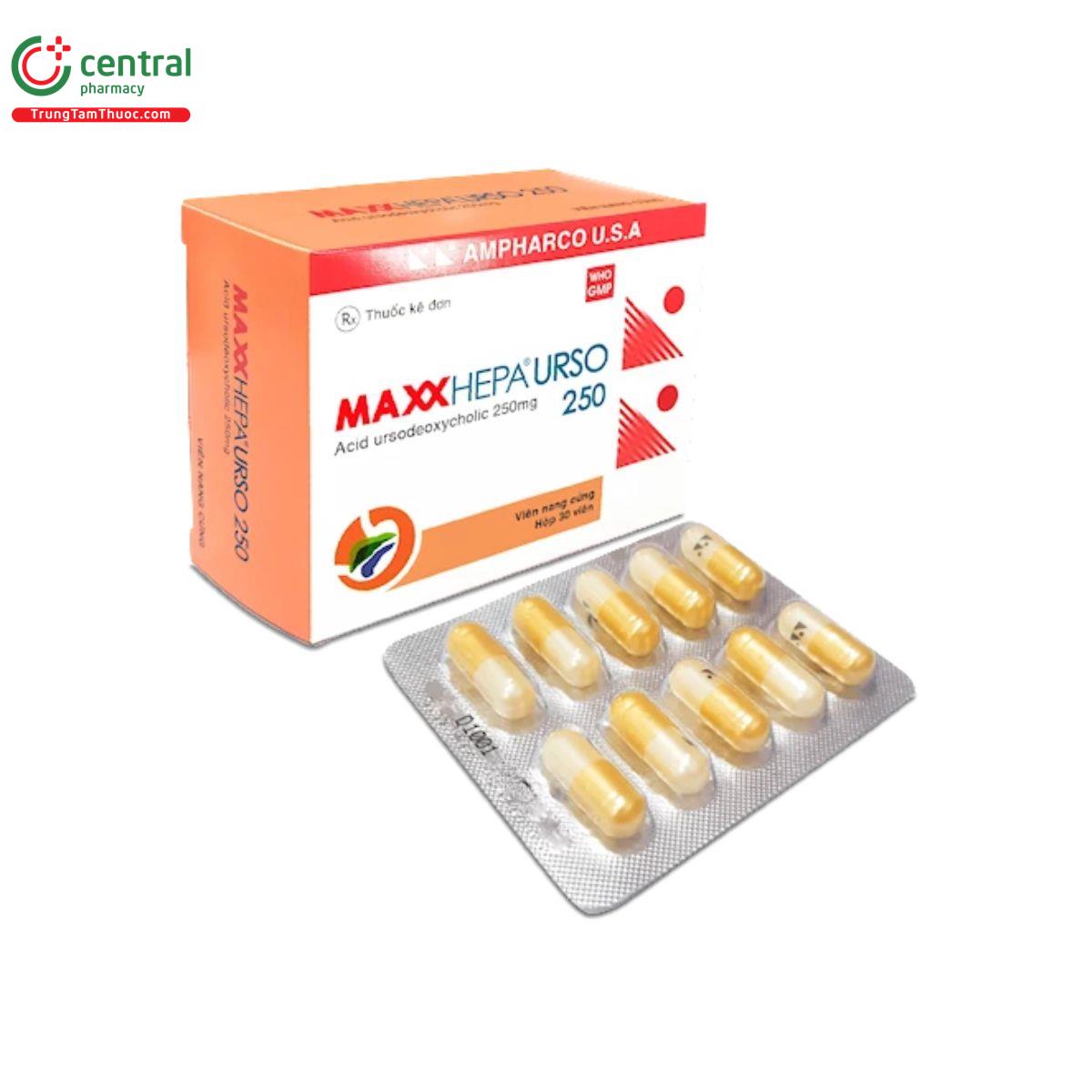 maxxhepa urso 250 1 E1582 maxxhepa urso 250 1 E1582