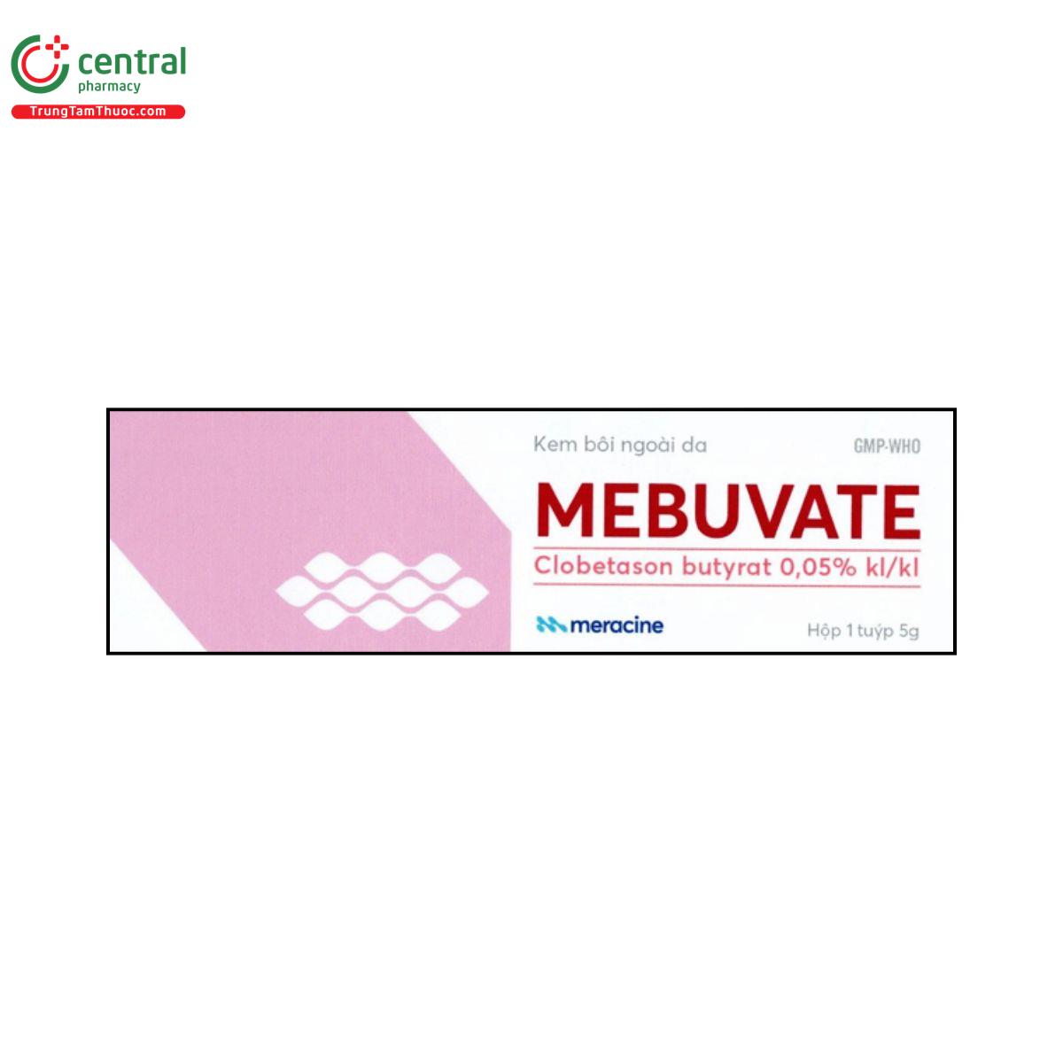 mebuvate 1 R7666 mebuvate 1 R7666