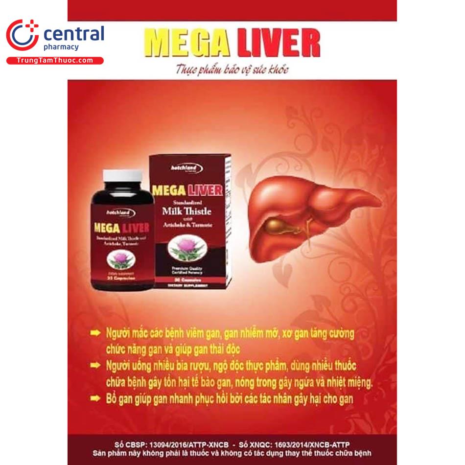 mega liver 13 M5250