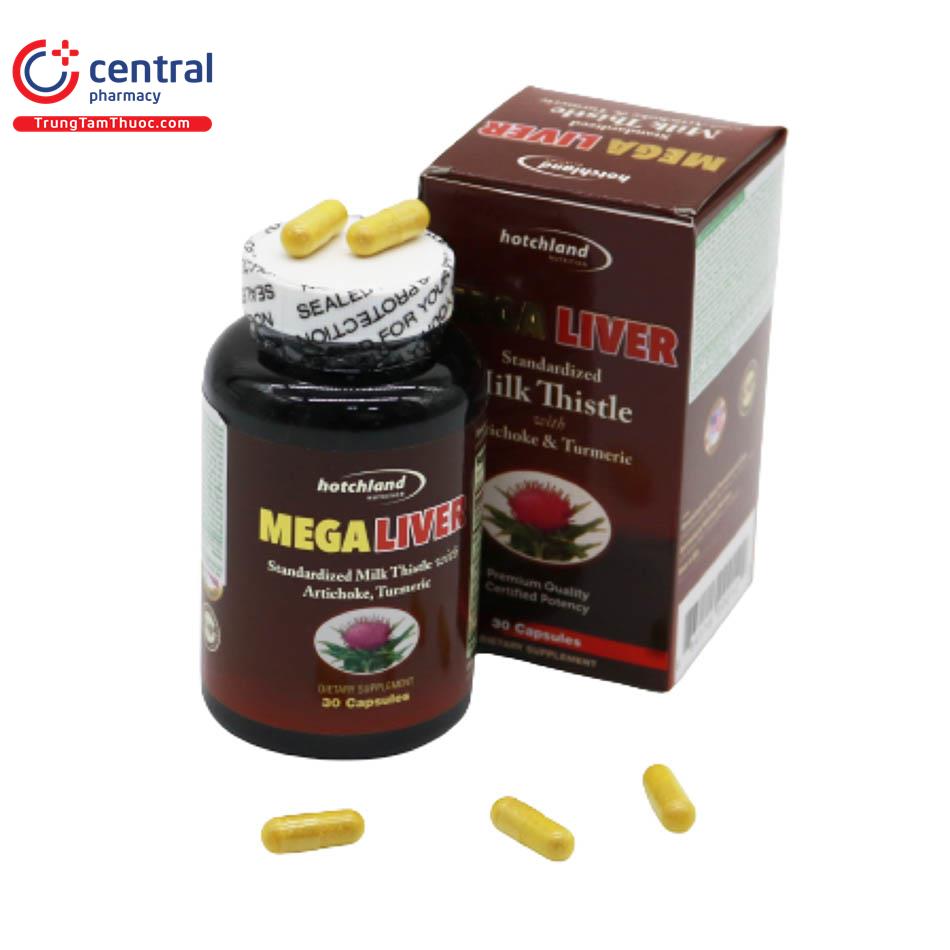 mega liver 3 I3648