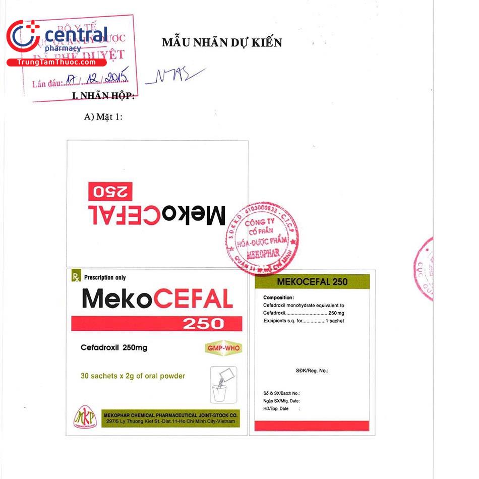 mekocefal250 bot ttt3 E1271