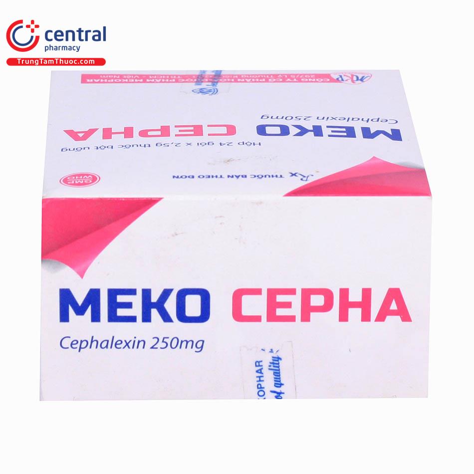 mekocephattt2 E1052