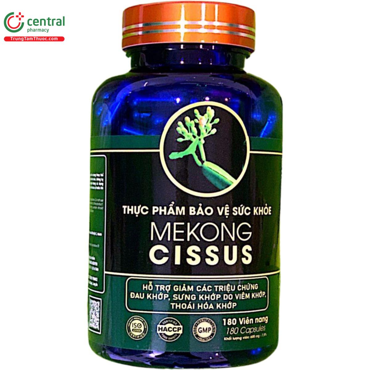 mekong cissus 1 L4170