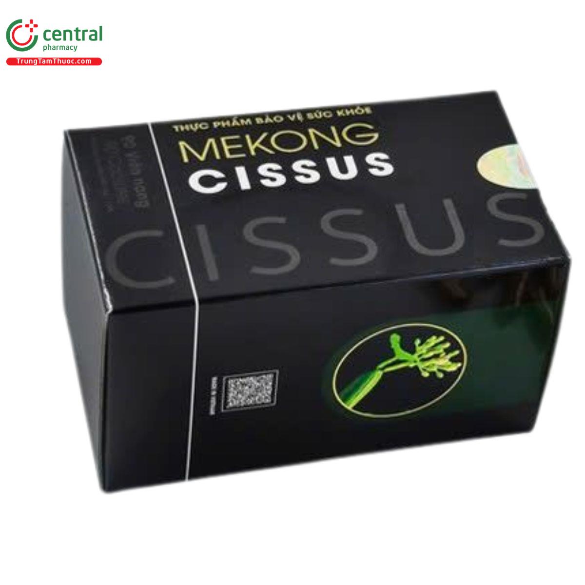 mekong cissus 2 K4103