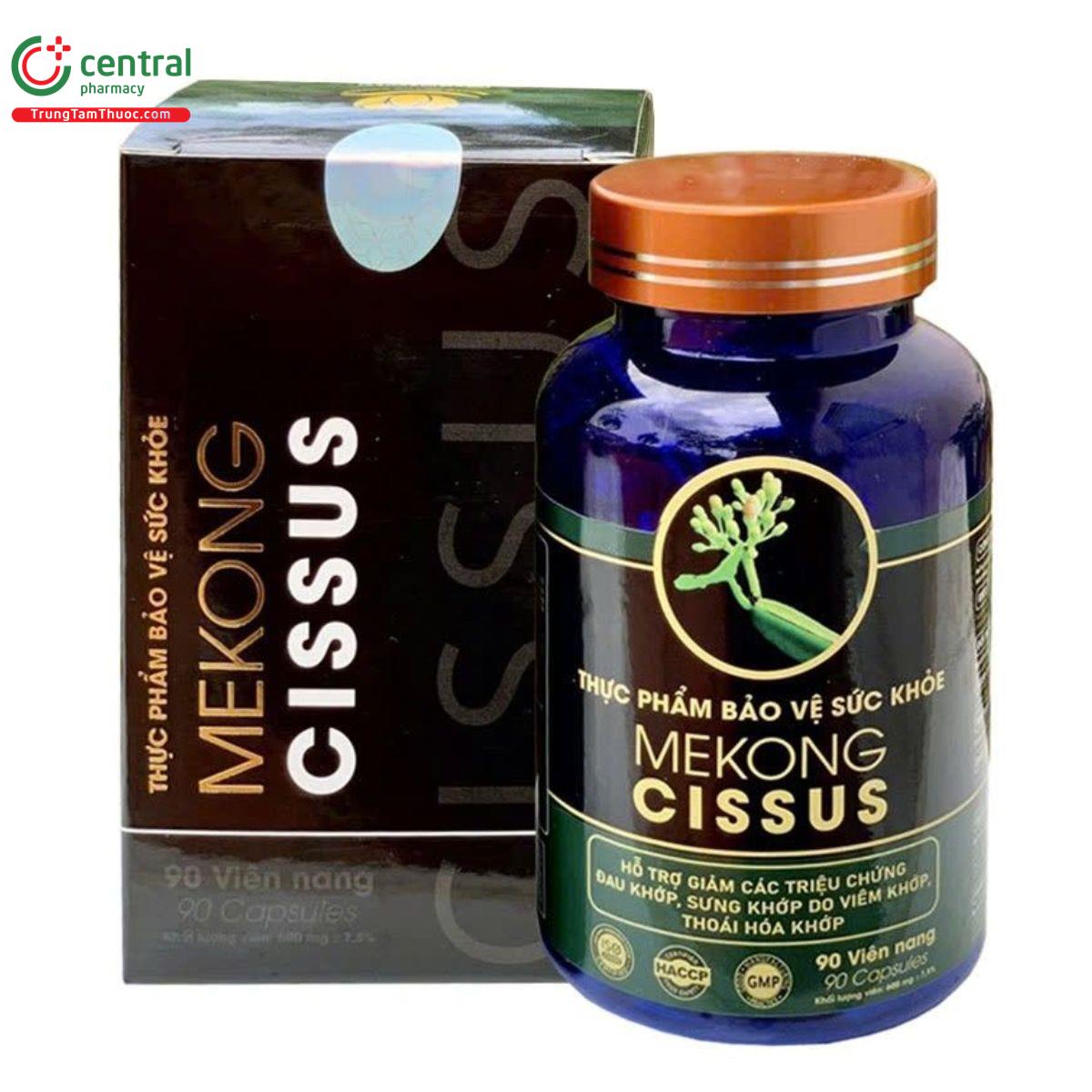 mekong cissus 3 Q6730