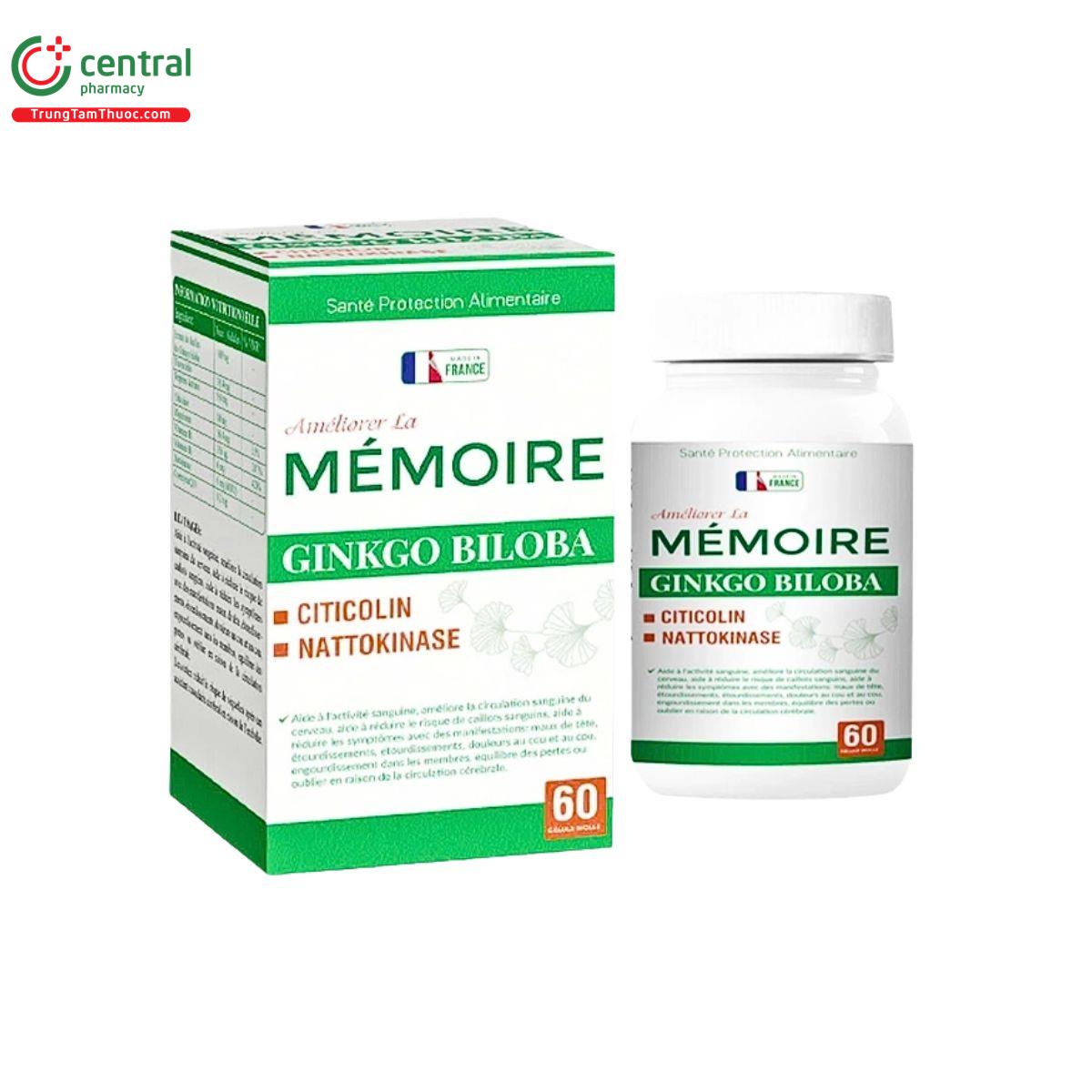 memoire ginkgo biloba b pharma 1 M5155