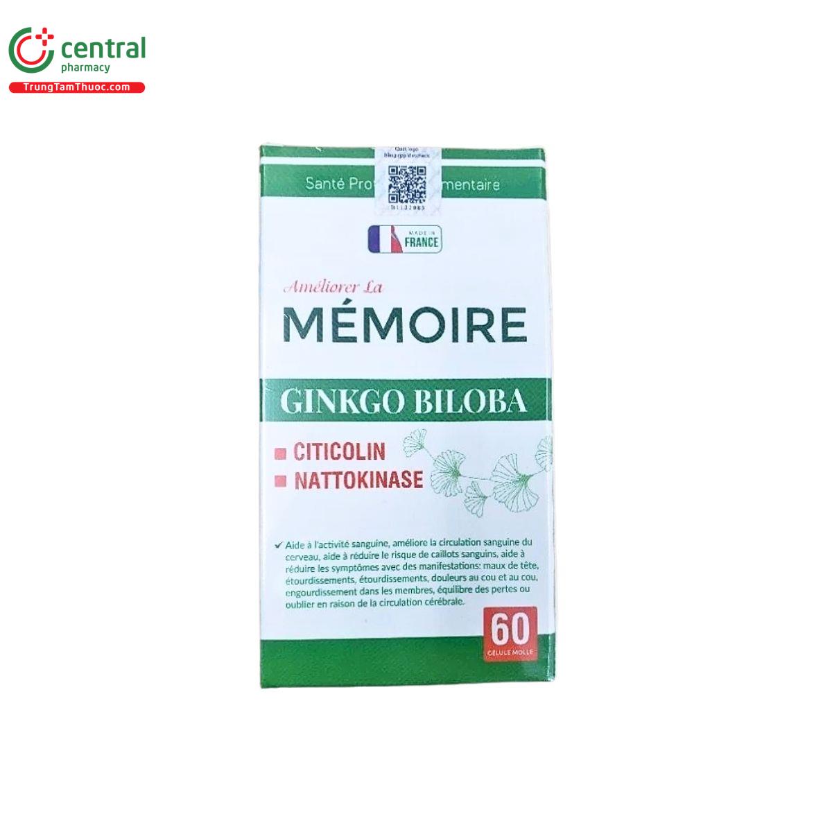 memoire ginkgo biloba b pharma 2 F2516