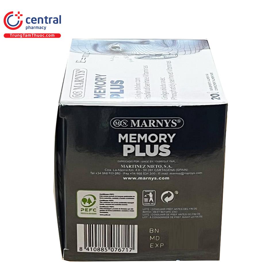 memory plus bosung 13 A0204