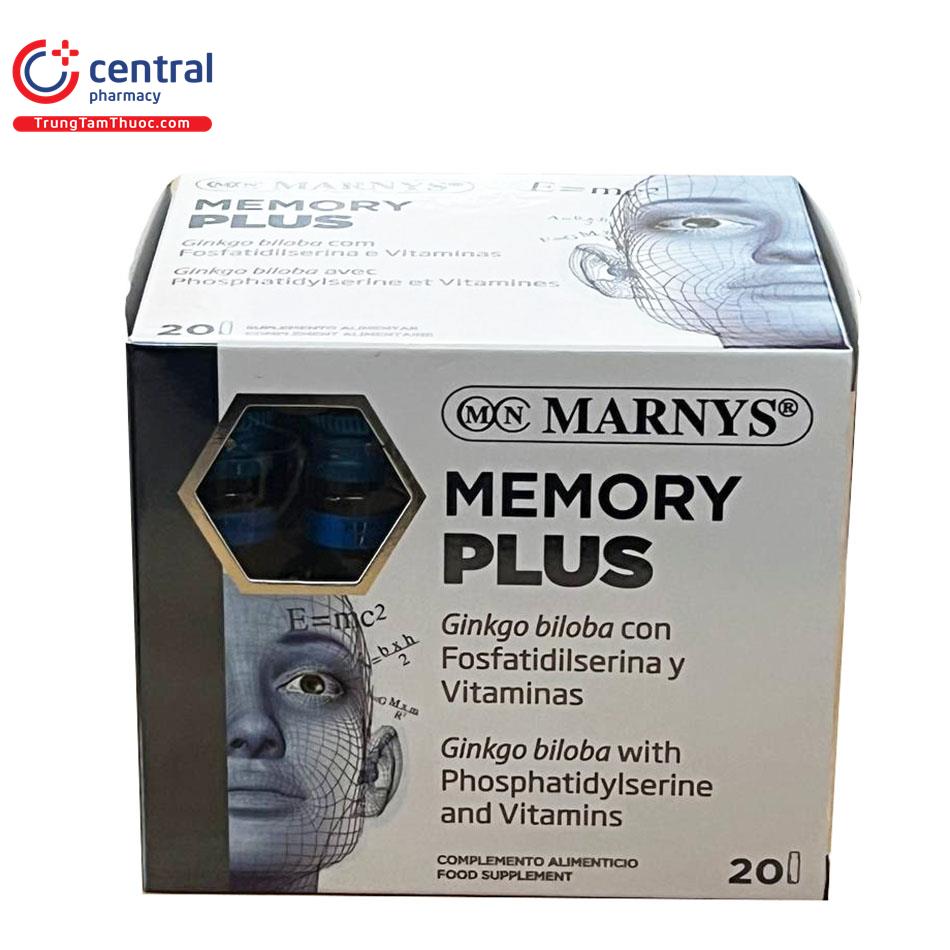 memory plus bosung 4 Q6675