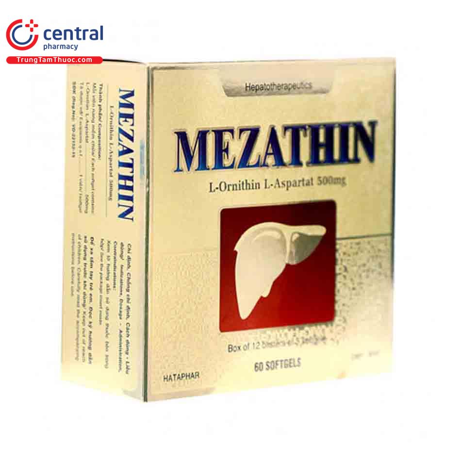 methazin 3 E1674