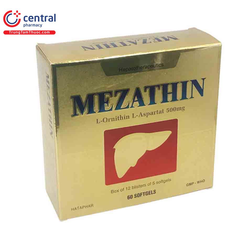 methazin 6 G2564