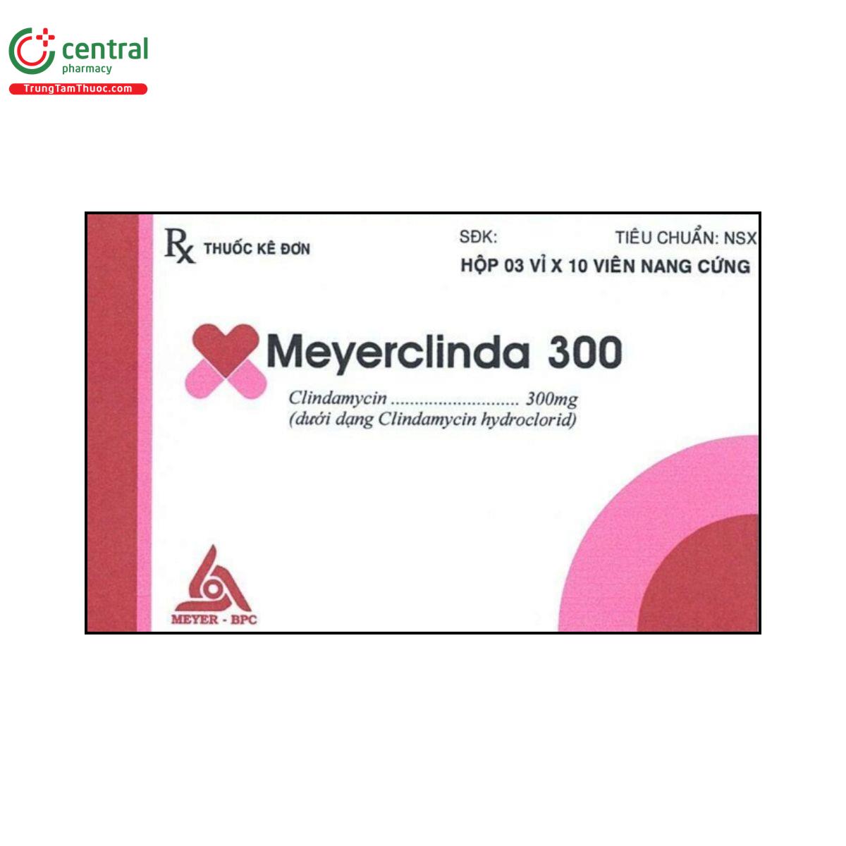 meyerclinda 300 1 G2337 meyerclinda 300 1 G2337