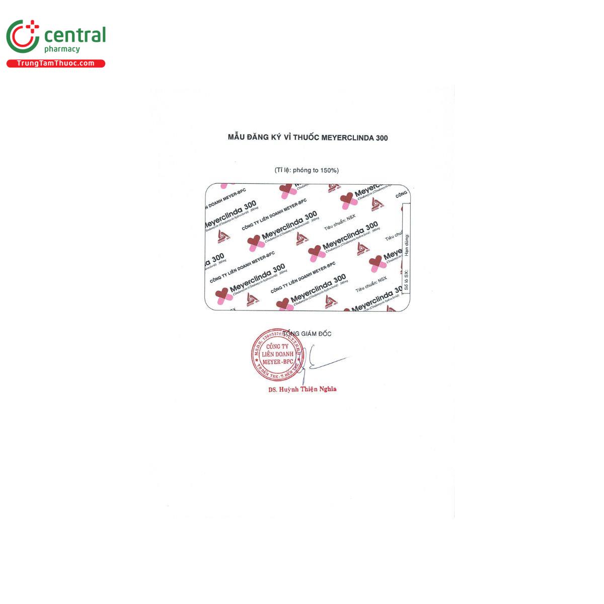 meyerclinda 300 4 E1447 meyerclinda 300 4 E1447