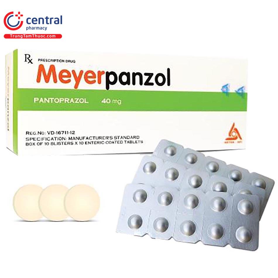 meyerpanzol1 P6225