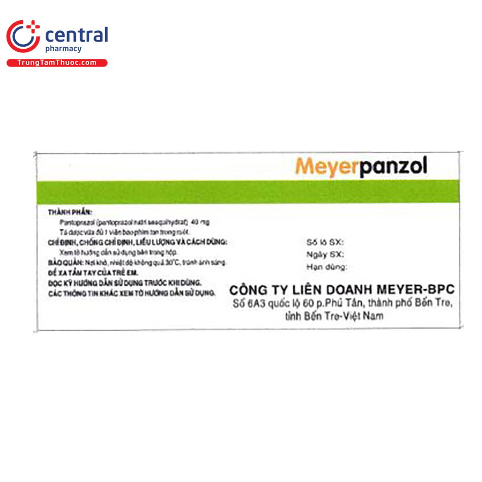 meyerpanzol6 D1720