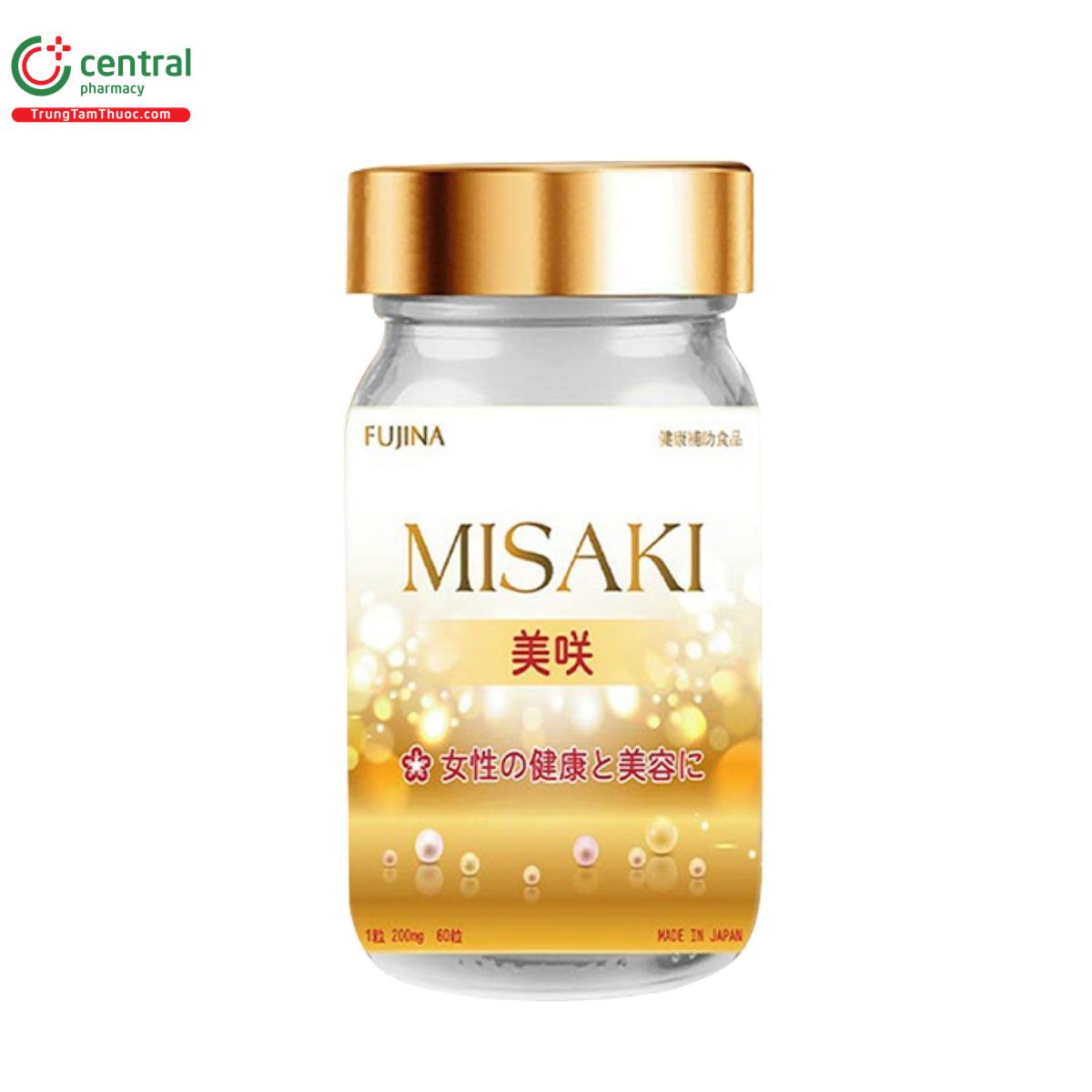 misaki fujina 11 H3333 misaki fujina 11 H3333