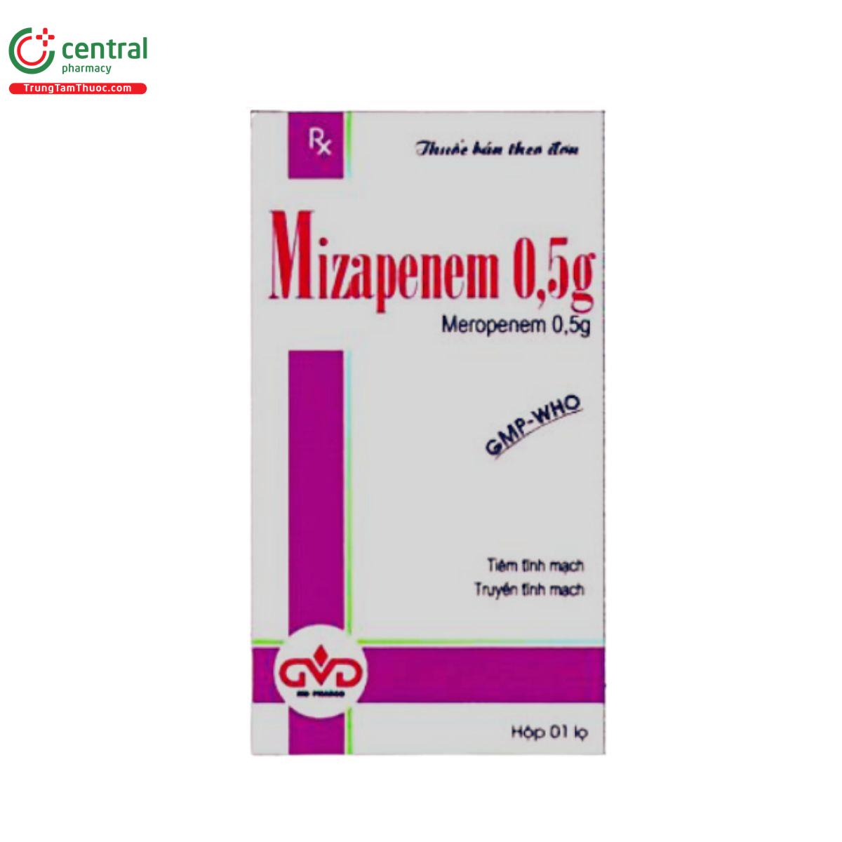 mizapenem 05g 2 L4622