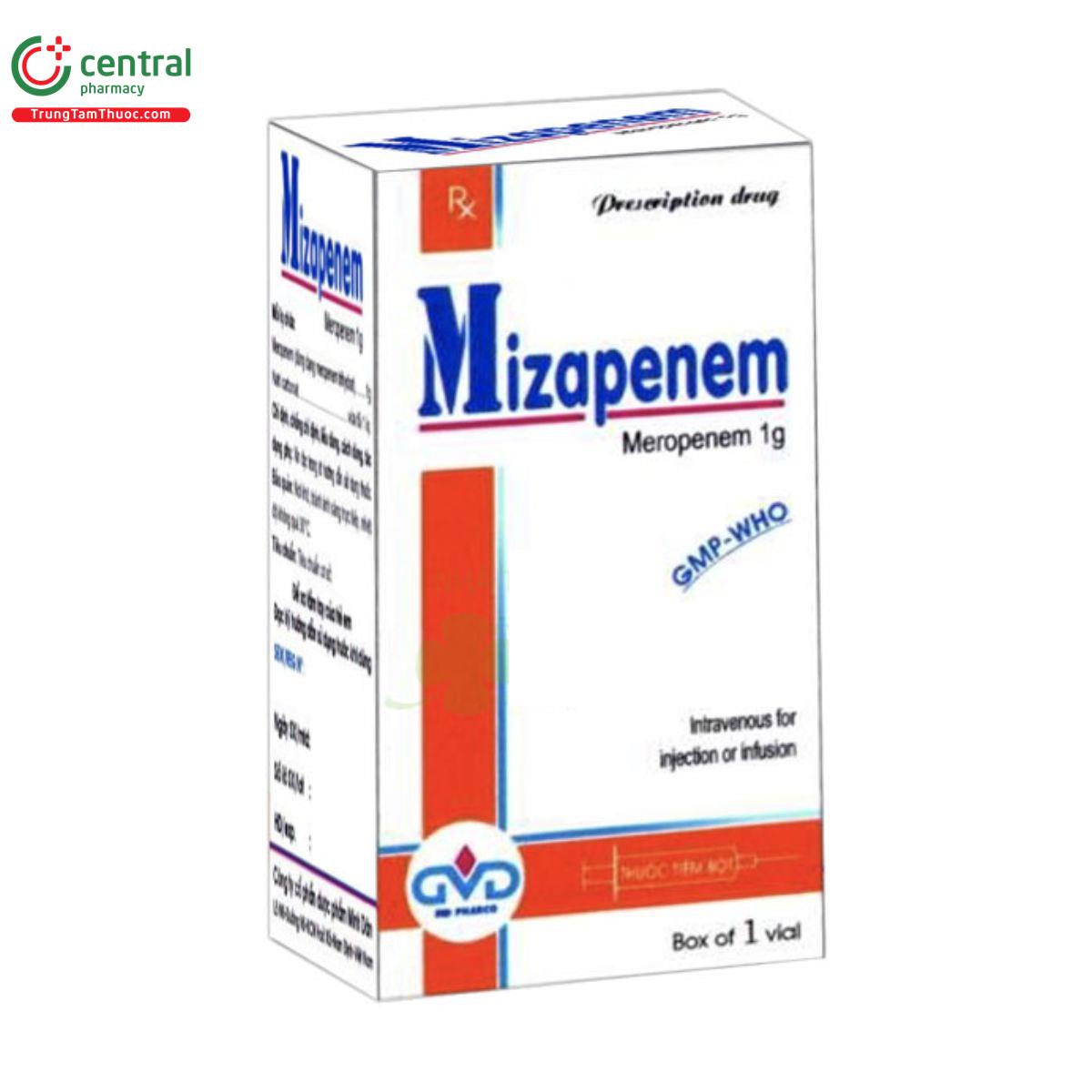 mizapenem 1g 1 E2681