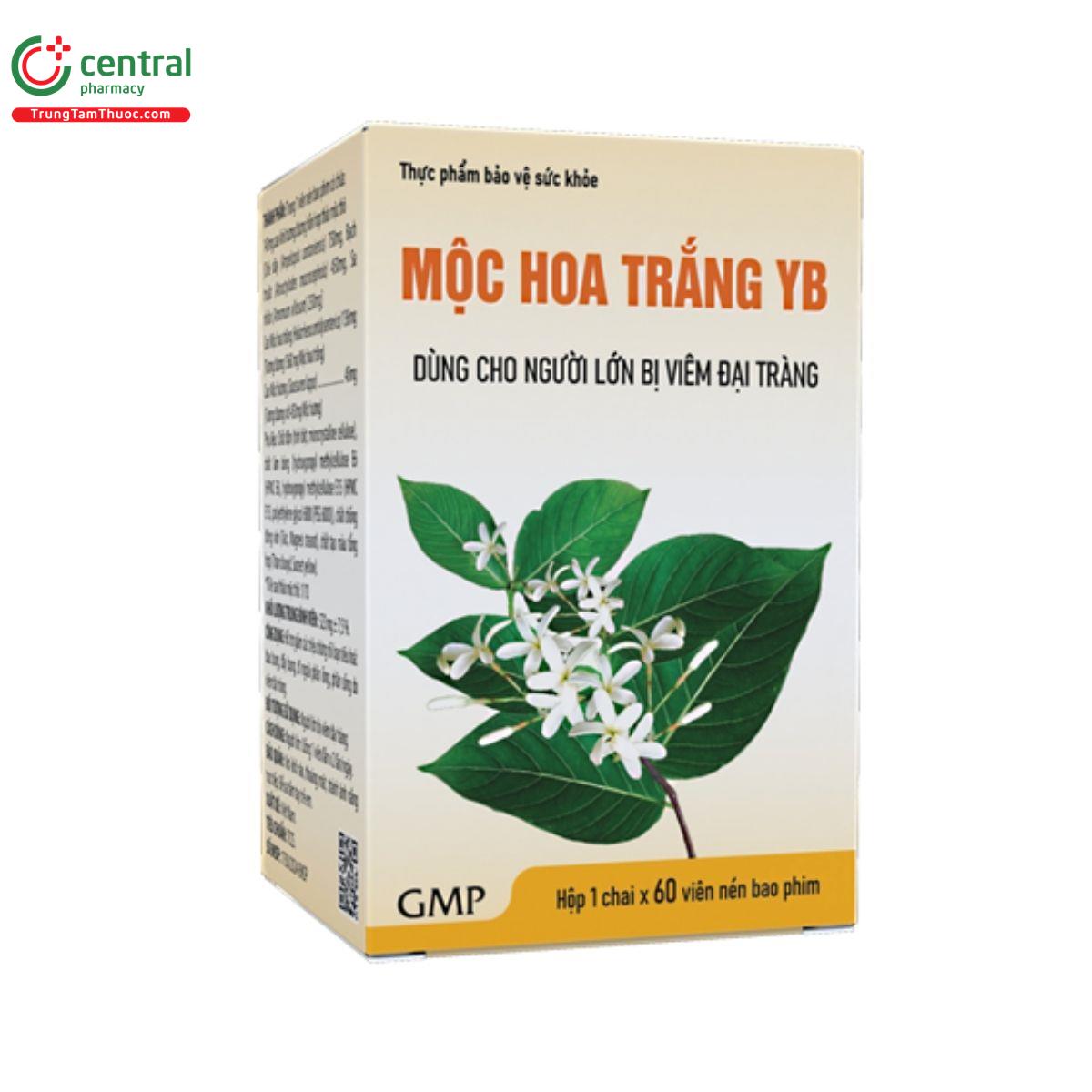 moc hoa trang yb 4 V8508