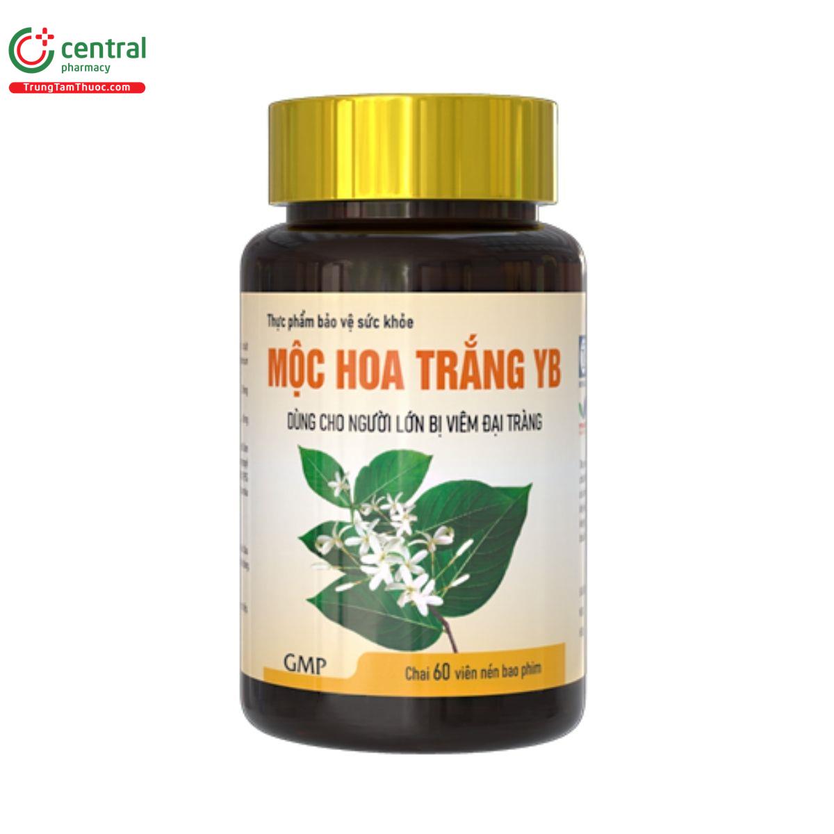 moc hoa trang yb 7 P6061