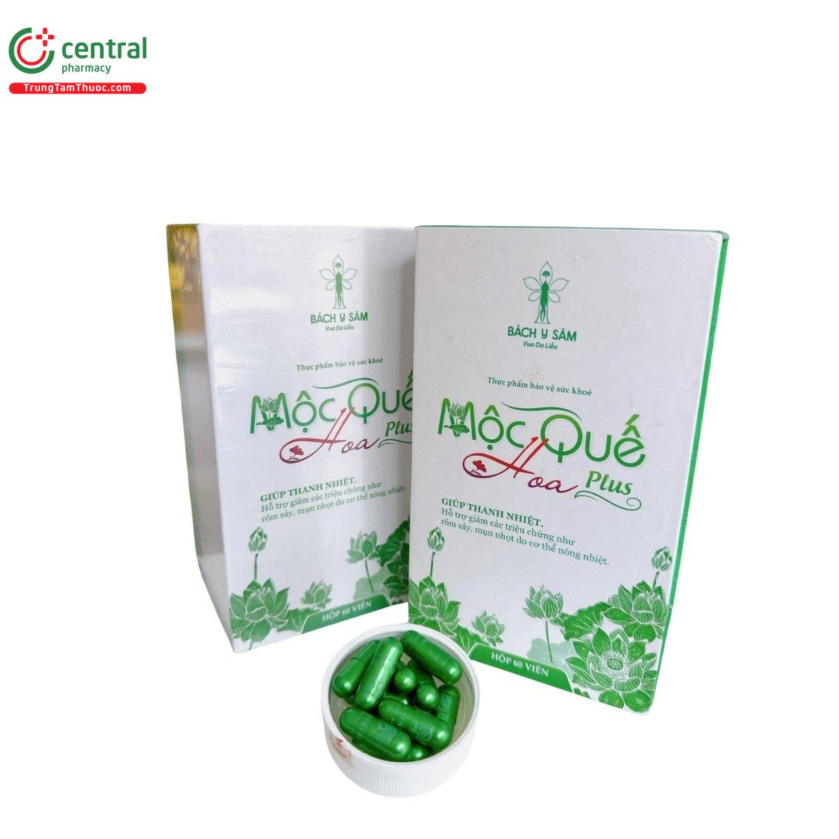 moc que hoa plus 4 A0424