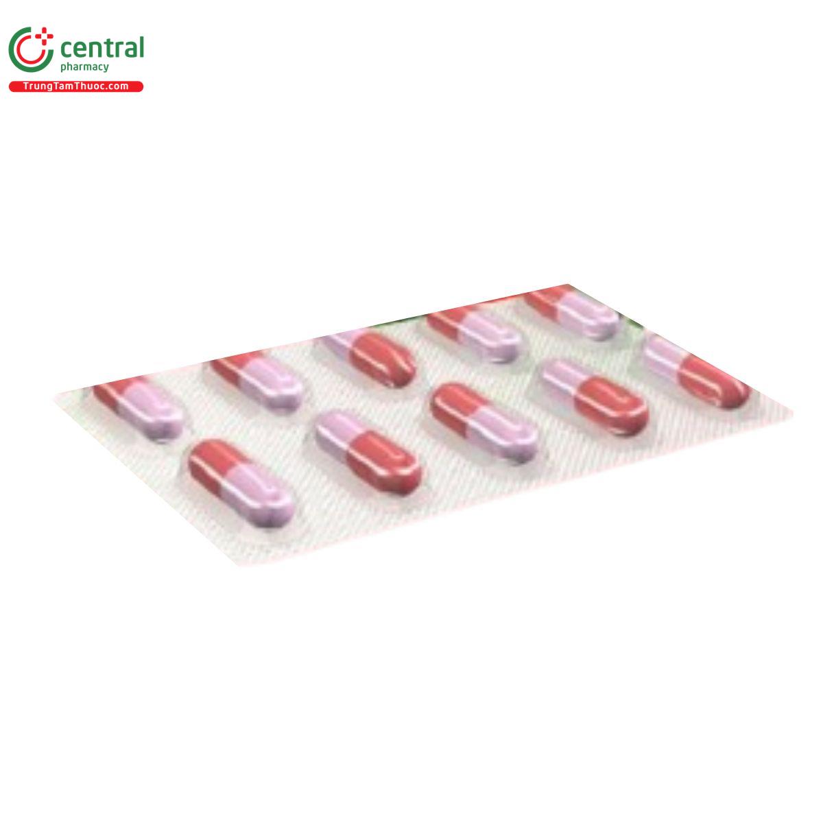 mocedal giam dau xuan quang 3 J4842