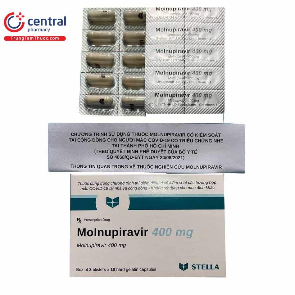 molnupiravir 6 P6546