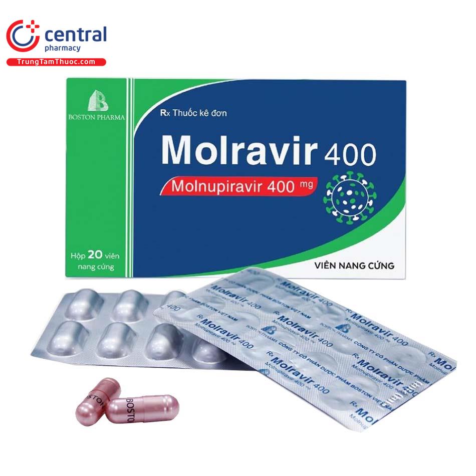 molravir 400 0 T8626