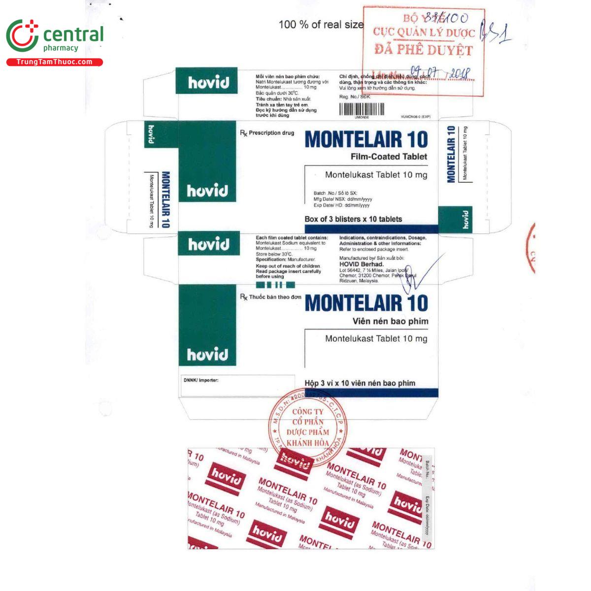 montelair 10 5 M4584